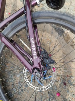 Ctm Dirtking expert 2022