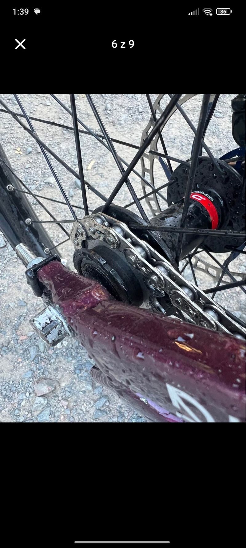 Ctm Dirtking expert 2022
