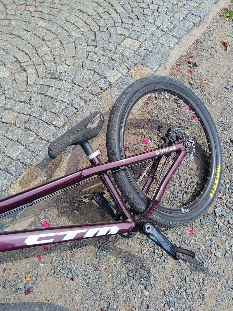 Ctm Dirtking expert 2022