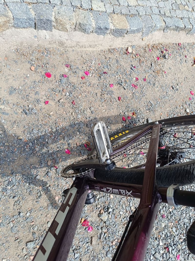 Ctm Dirtking expert 2022