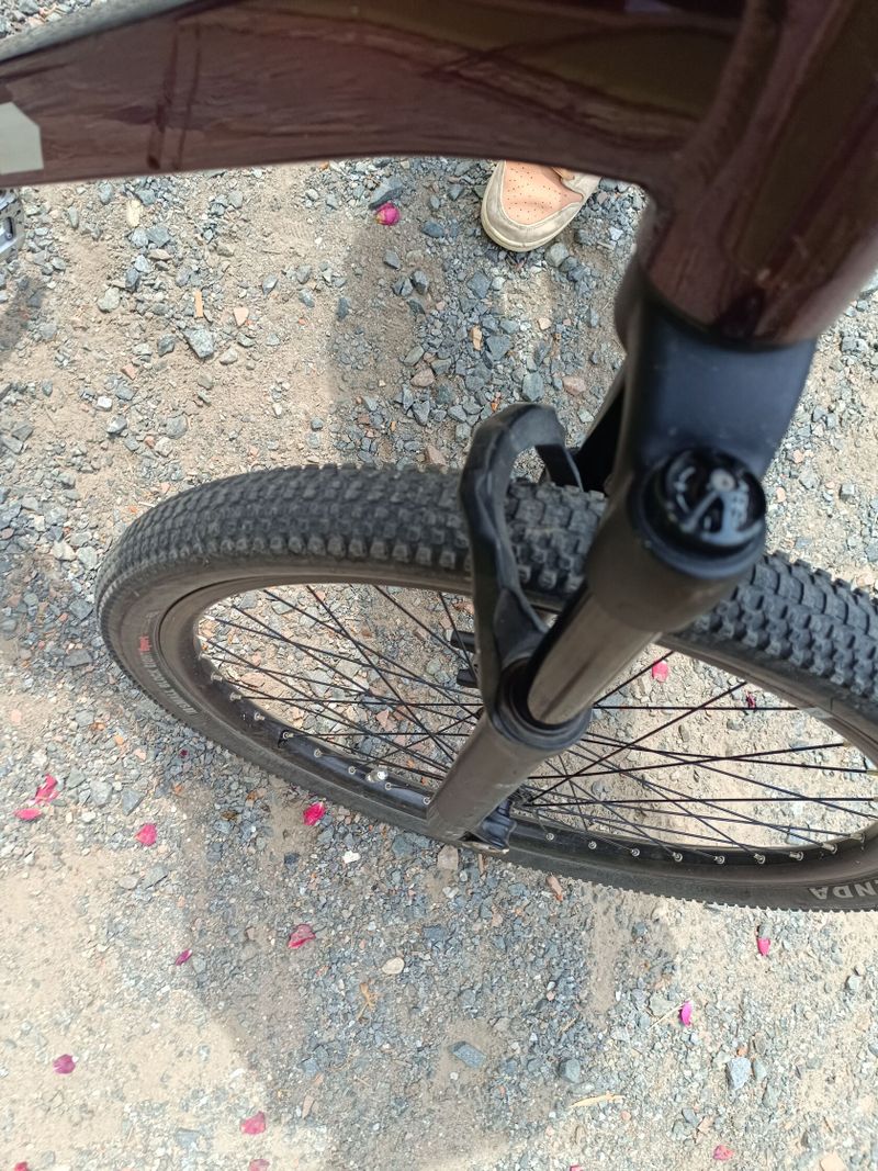 Ctm Dirtking expert 2022