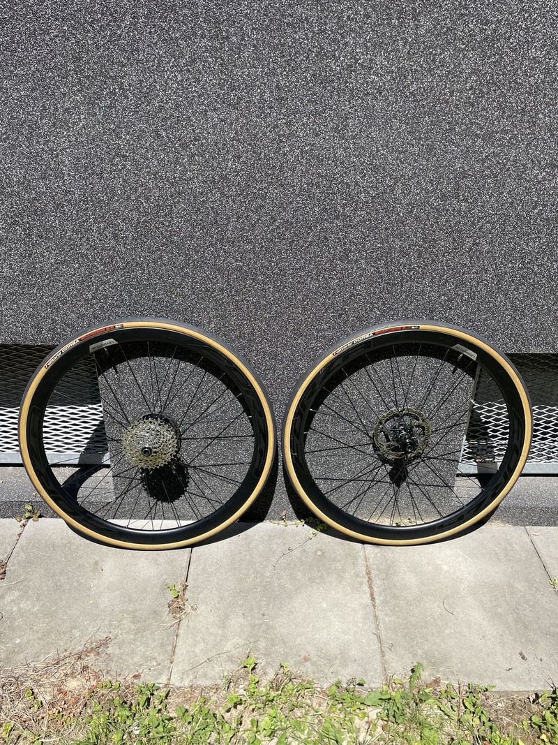 Forza Levanto DB