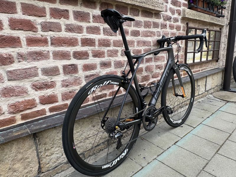 Lapierre Xelius SL