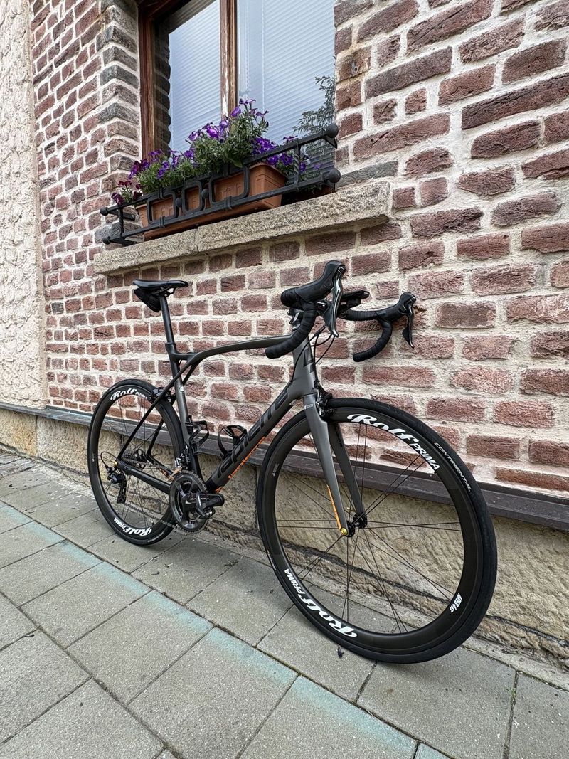 Lapierre Xelius SL