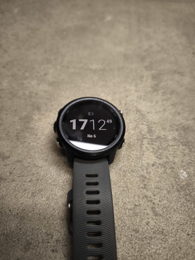 Garmin Forerunner 245