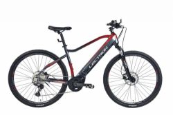 lectron voyager MFX 19"