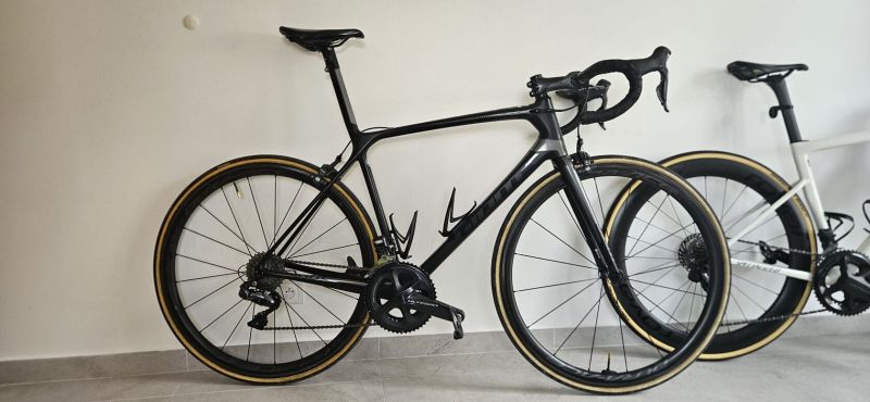 2020 TCR Advanced SL na alektrice