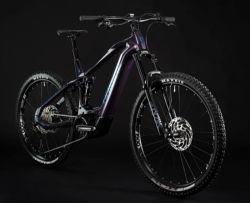Haibike ALLMTN CF 11 - 29"/27,5"