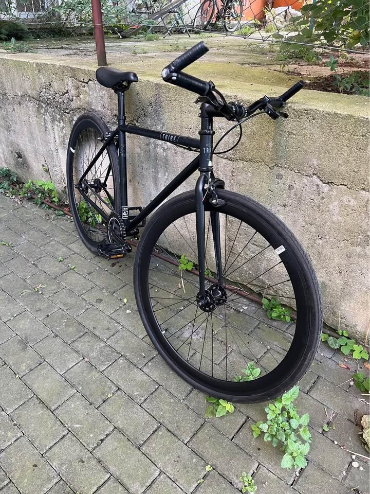 Městské kolo - Singlespeed Tribe 47