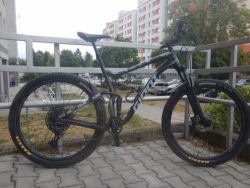 Giant Stance 29 1 Rosewood 