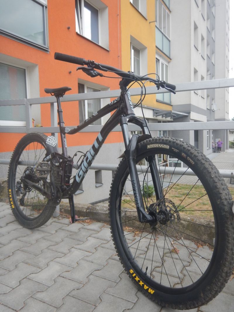 Giant Stance 29 1 Rosewood 
