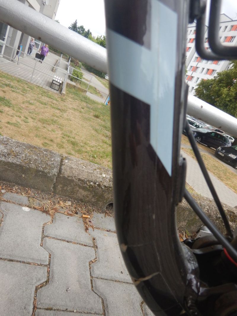 Giant Stance 29 1 Rosewood 