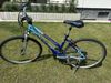 ACSTAR ONTARIO LADY VELIKOST 17"