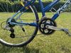 ACSTAR ONTARIO LADY VELIKOST 17"