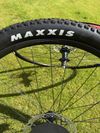 Kola Merida Expert CC 29"