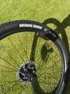 Kola Merida Expert CC 29"
