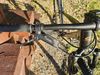 Corratec X-Vert Pro Team 2024