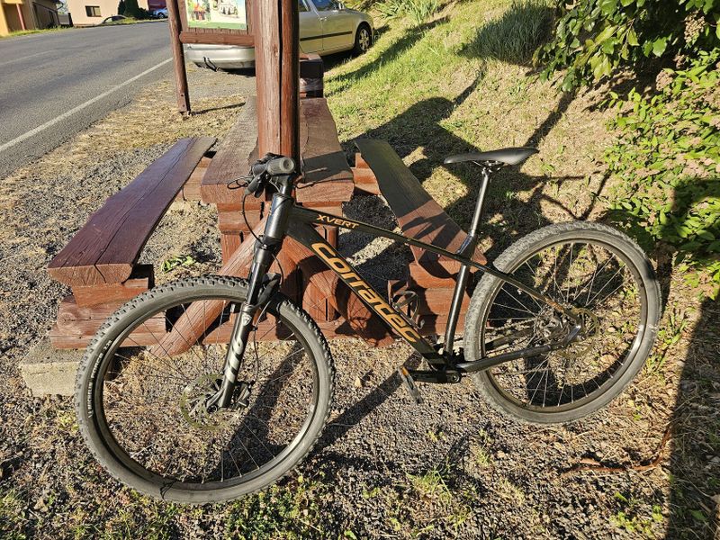 Corratec X-Vert Pro Team 2024