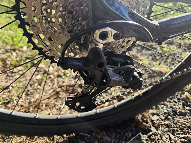 Corratec X-Vert Pro Team 2024