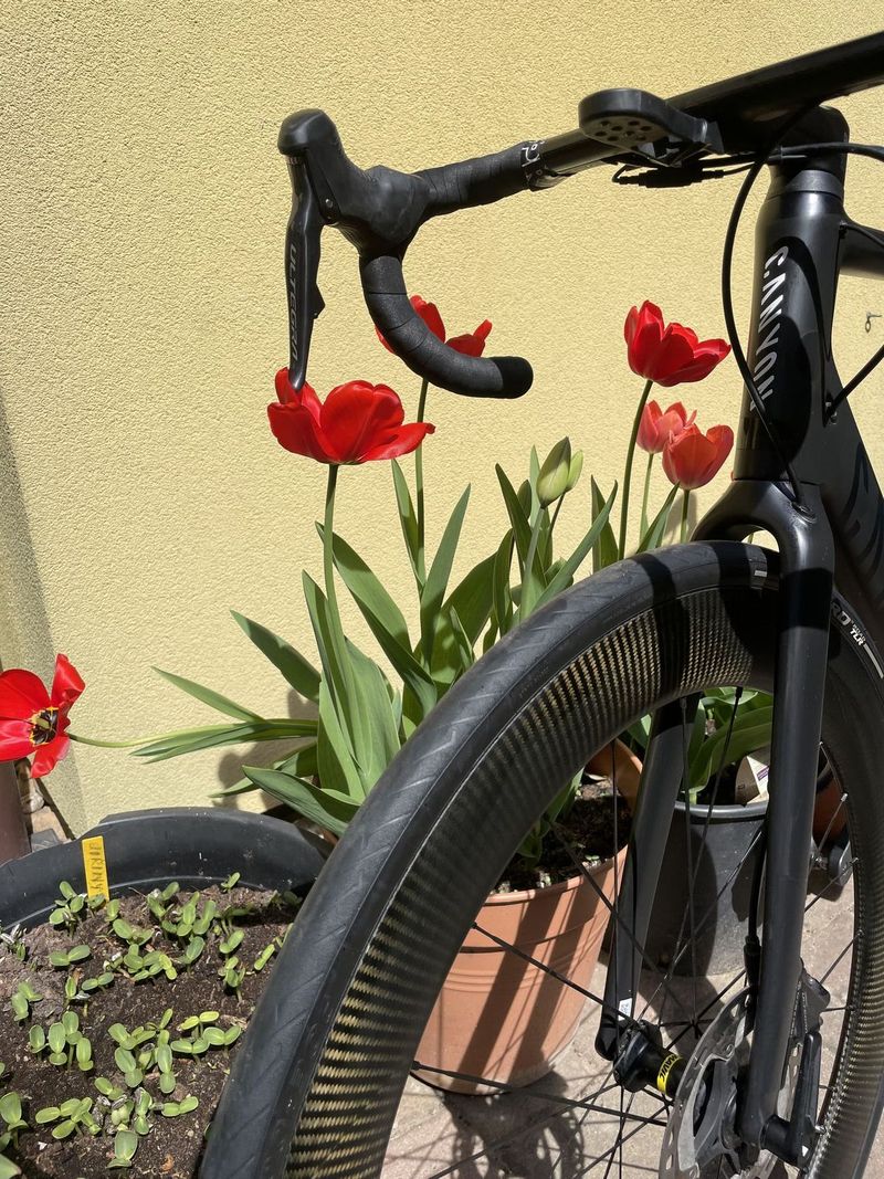 Mavic Cosmic SL 65