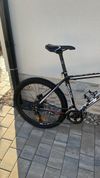 CTM Delta 1.0 (2015–2017), velikost 19″