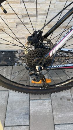 CTM Delta 1.0 (2015–2017), velikost 19″