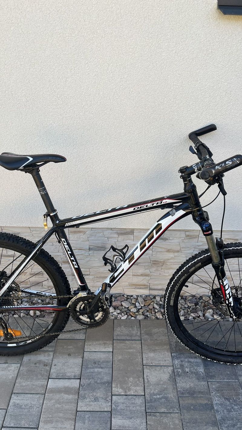 CTM Delta 1.0 (2015–2017), velikost 19″