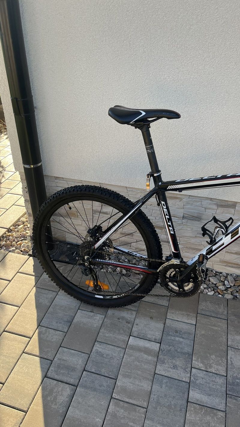 CTM Delta 1.0 (2015–2017), velikost 19″