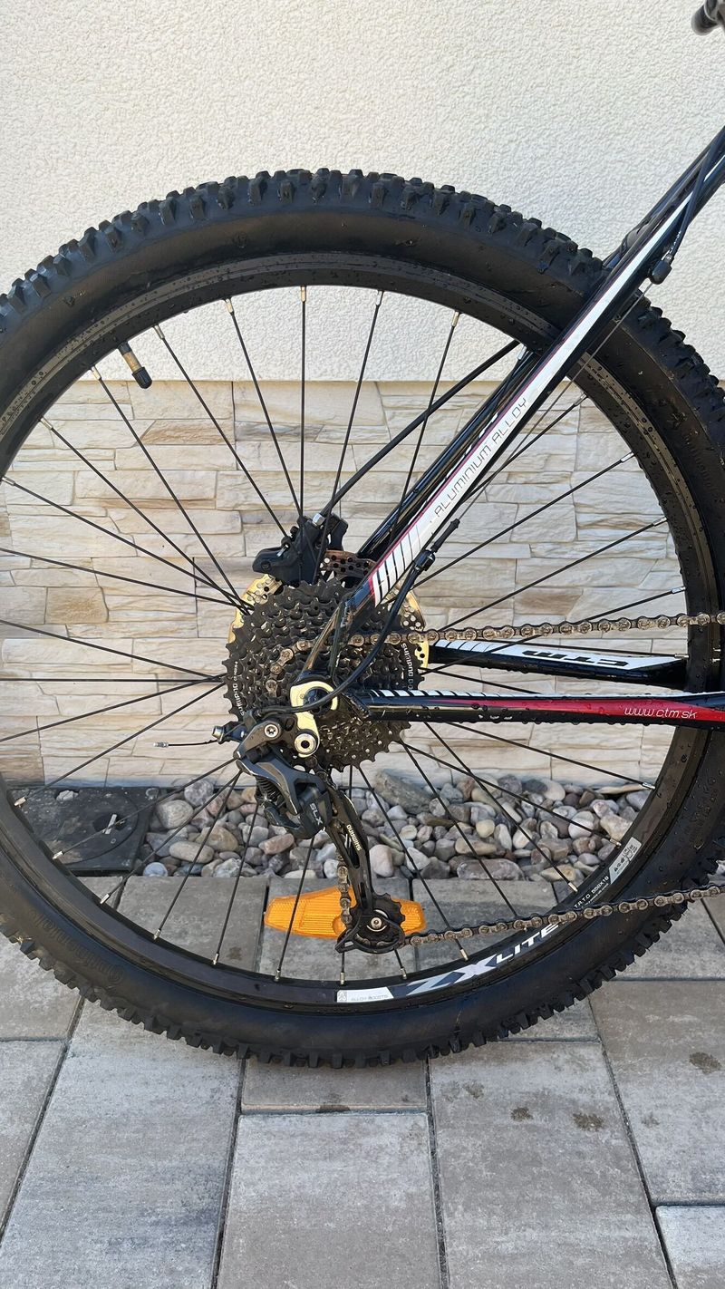 CTM Delta 1.0 (2015–2017), velikost 19″