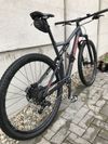 Specialized Epic