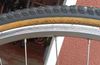 CORRATEC SHAPE PRO