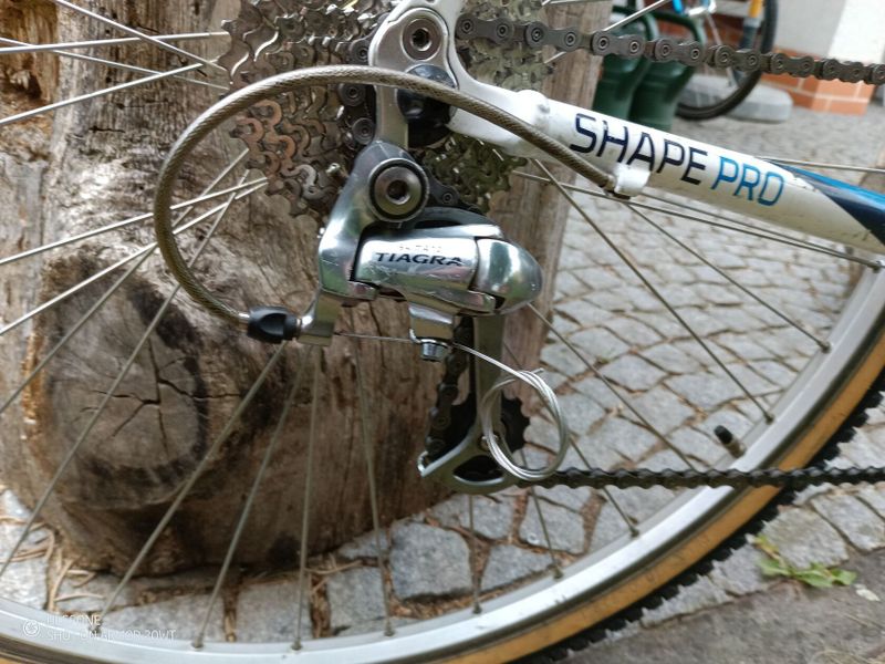 CORRATEC SHAPE PRO