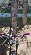 Canyon spectral al5 2022