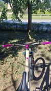 Canyon spectral al5 2022