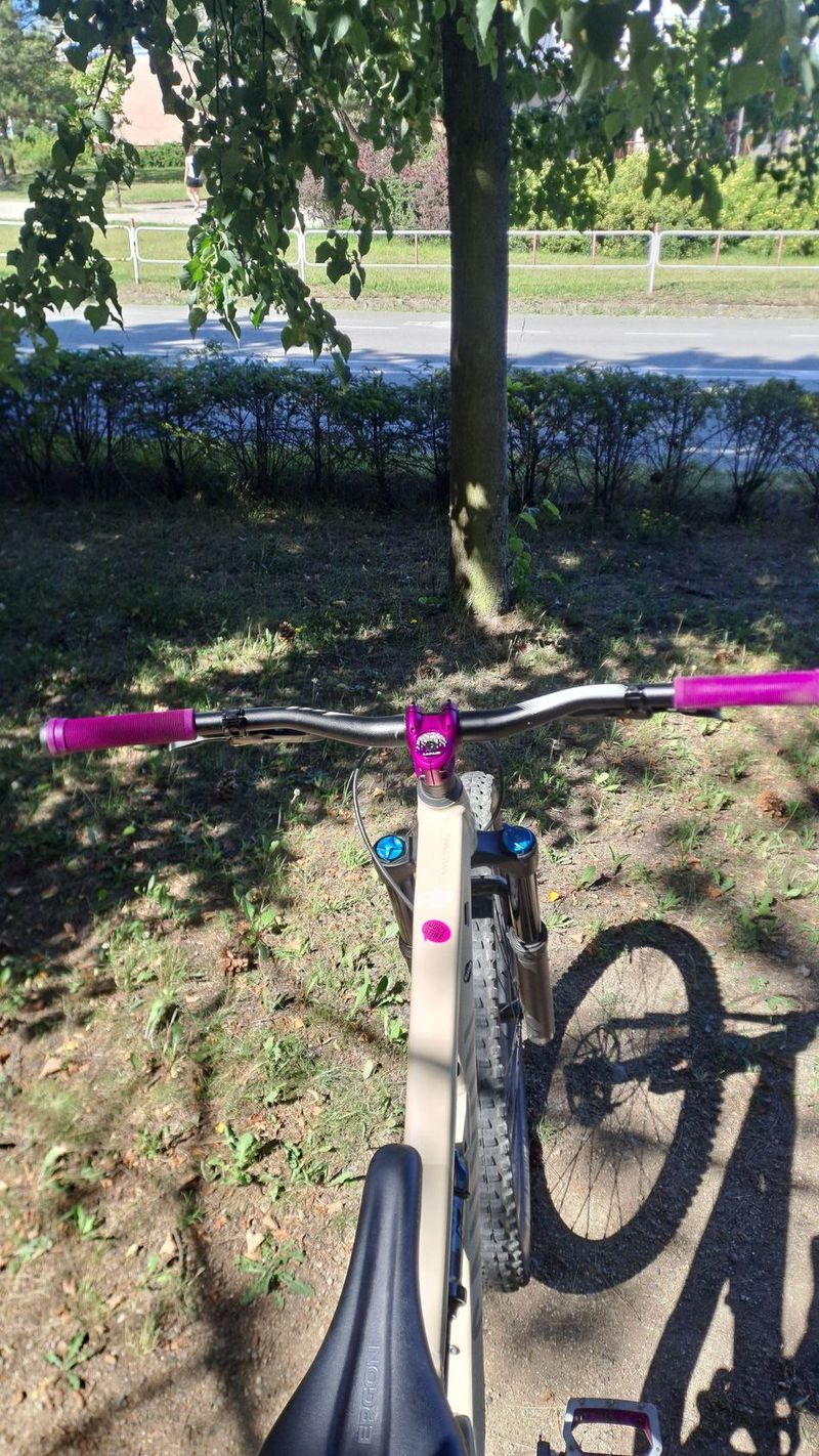 Canyon spectral al5 2022