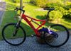 TREKKING FOX SHOCK WORKS XC