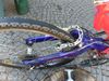 TREKKING FOX SHOCK WORKS XC