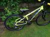 Force Forkys 24"