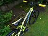 Force Forkys 24"