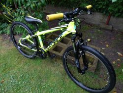 Force Forkys 24"