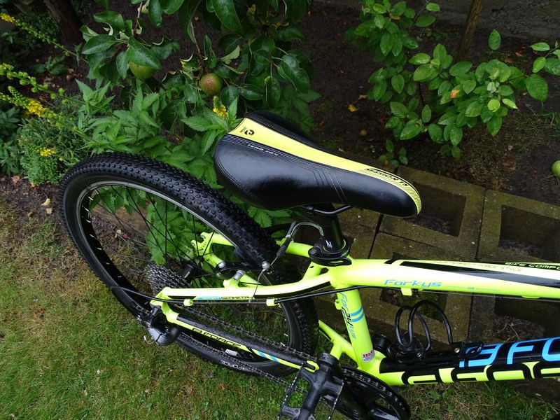 Force Forkys 24"