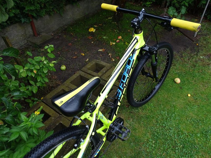 Force Forkys 24"