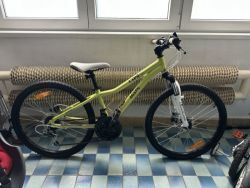 Dětský bike Author AGang 24"