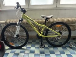Dětský bike Author AGang 24"