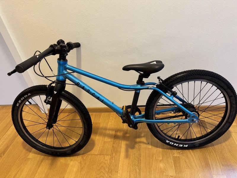 Dětské modré kolo Rascal 20