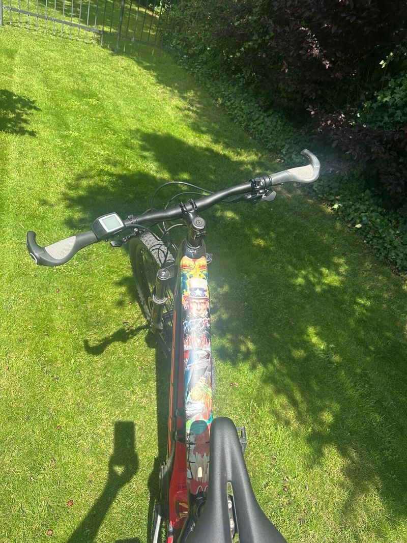 Trek powerfly 4 