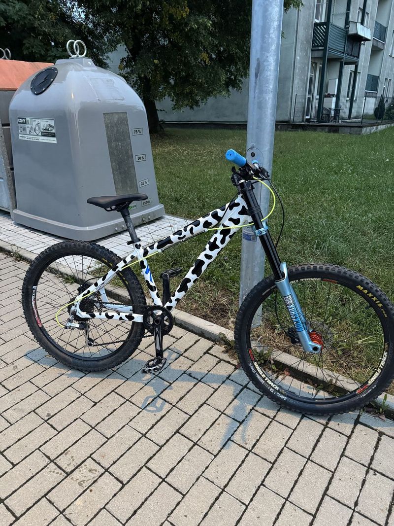 Specialized. Sjezdove kolo / Downhill / DH