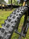 Cannondale Moterra SL 1 Custom
