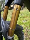 Cannondale Moterra SL 1 Custom