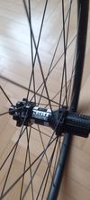 Kola IDEA 29"